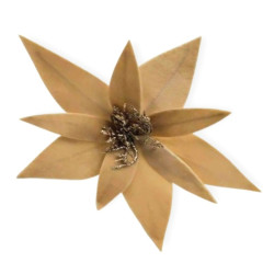 Χριστουγεννιάτικο Διακοσμητικό Λουλούδι Μπέζ Βελουτέ 25cm